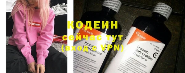 крисы Белокуриха