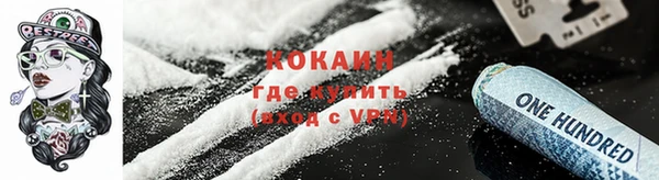 прущие грибы Белоозёрский