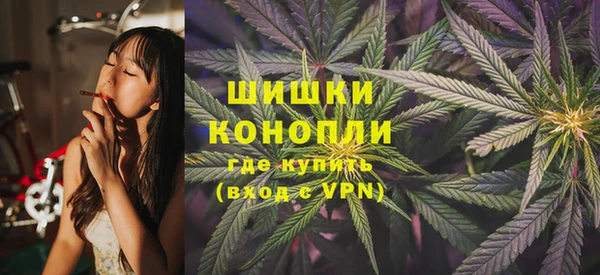 прущие грибы Белоозёрский