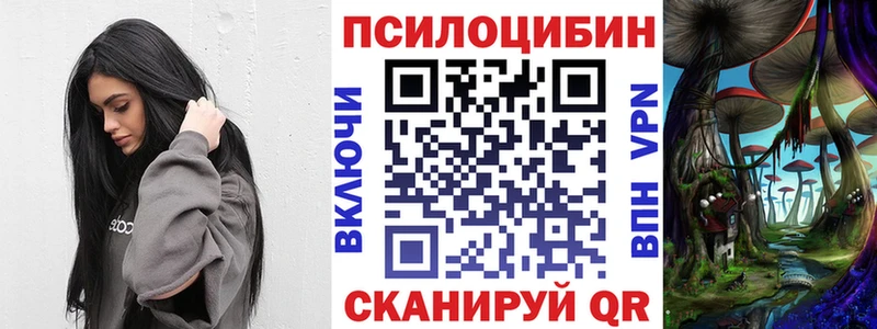 Псилоцибиновые грибы Psilocybine cubensis  Купить закладки  Окуловка 